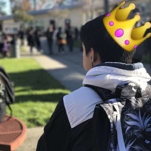 Meet your Posher, Wen